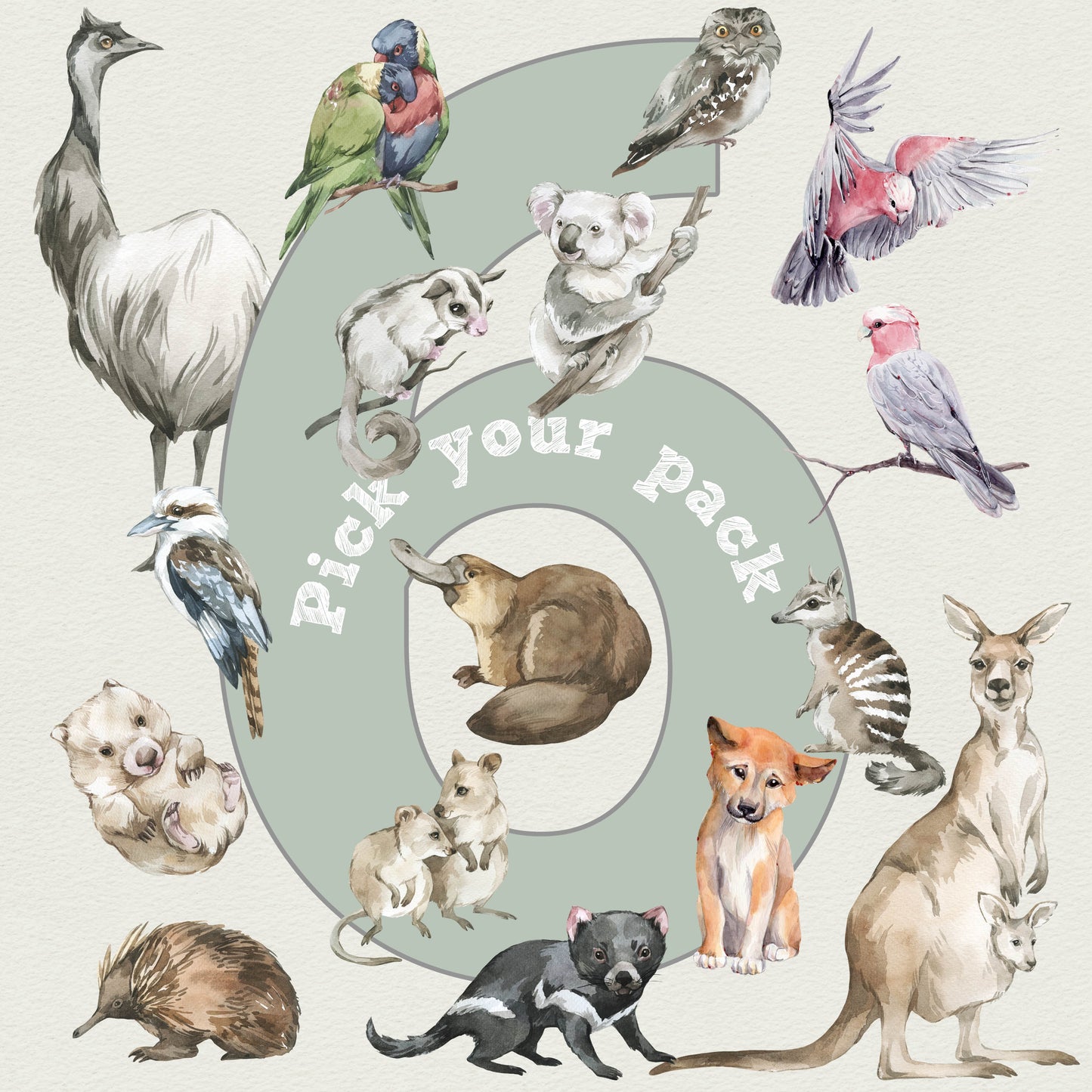 Pick 6 Animals! - Australian Animal Wall Stickers