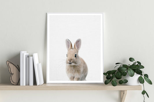 Bunny Rabbit Print - Kids Wall Art - Fable and Fawn 