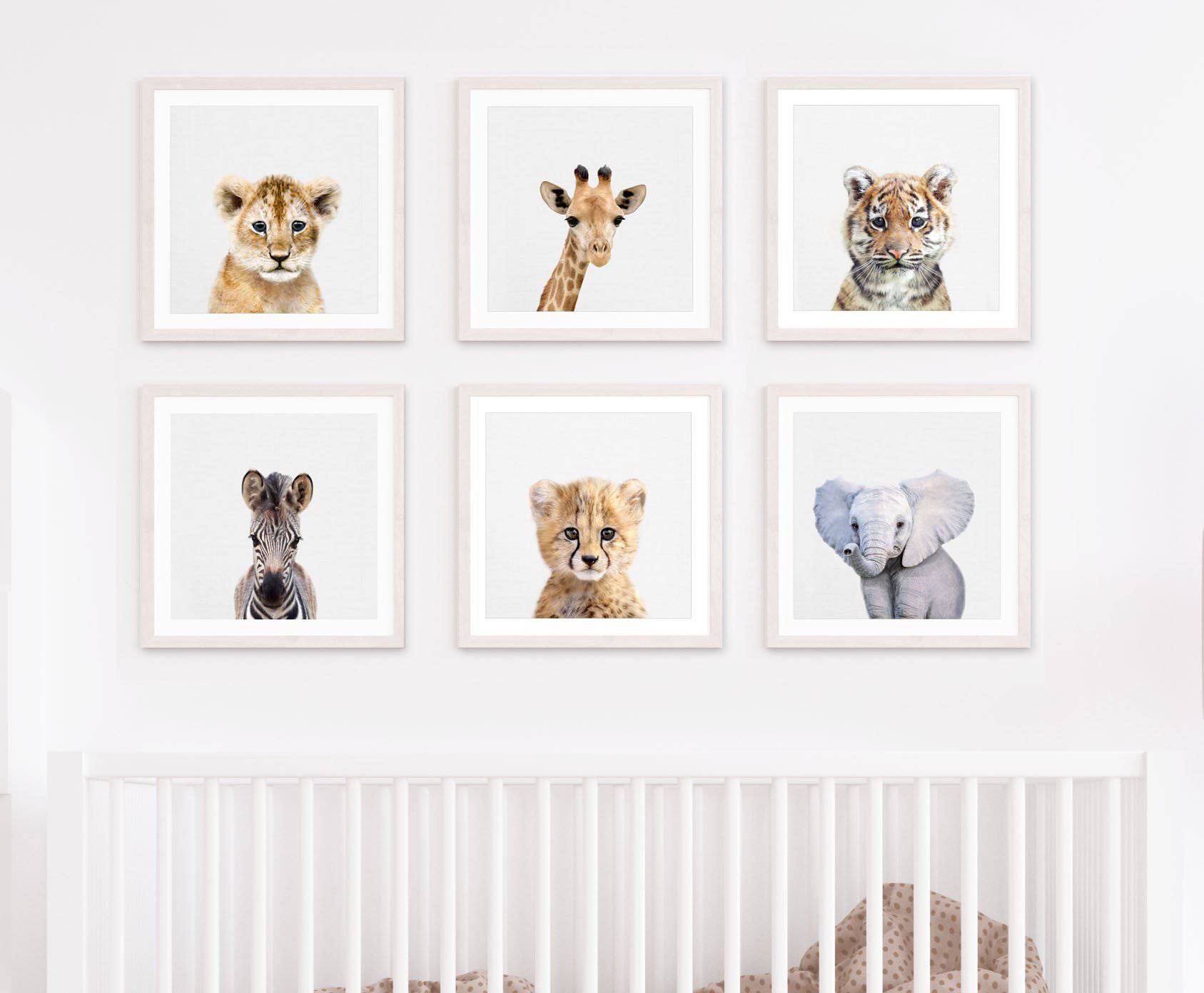 Framed safari best sale nursery prints