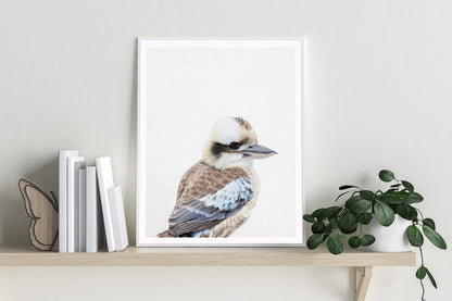 Kookaburra Print - PRINT - Fable and Fawn 