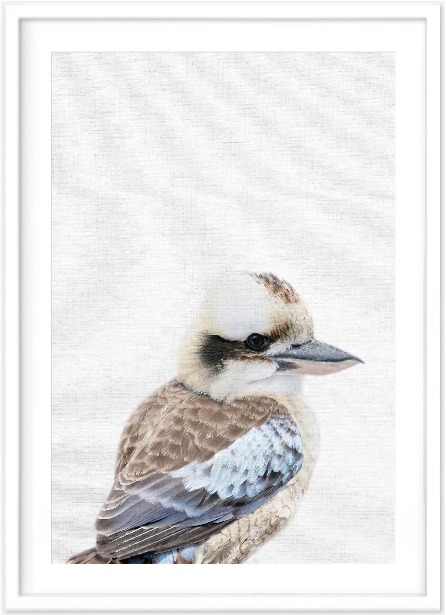 Kookaburra Print - PRINT - Fable and Fawn 