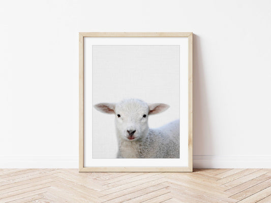 Lamb Print | Australian Nursery - PRINT - Fable and Fawn 