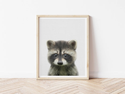 Raccoon Print | Woodland Nursery | Baby Animal Print - PRINT - Fable and Fawn 