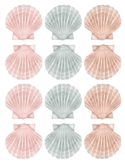 Seashell Wall Decals (Boho Set) - Wall Decals - Fable and Fawn 